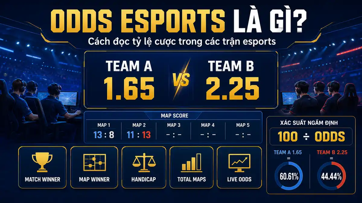 Infographic giải thích odds esports với decimal odds, Match Winner, Map Winner, handicap và tỷ lệ cược trực tiếp trong các trận esports.